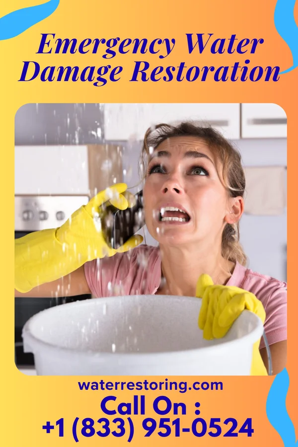Emergency Water Damage Restoration in Louisville, NE